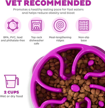 Fun Feeder Slo Bowl, Slow Feeder Dog Bowl, Medium/Mini, Purple
